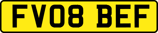 FV08BEF