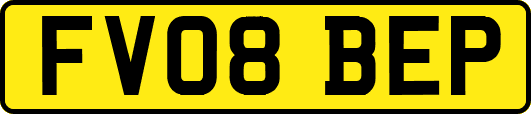 FV08BEP