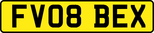 FV08BEX