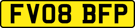 FV08BFP