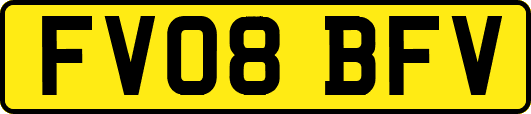 FV08BFV
