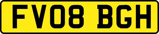 FV08BGH