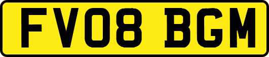 FV08BGM