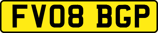 FV08BGP