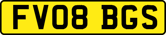 FV08BGS