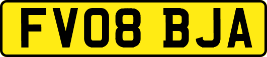 FV08BJA