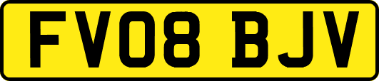 FV08BJV
