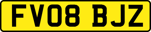 FV08BJZ