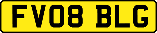 FV08BLG