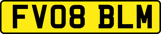 FV08BLM