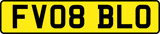 FV08BLO