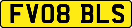 FV08BLS