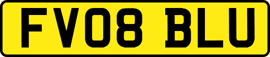 FV08BLU