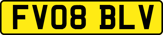 FV08BLV