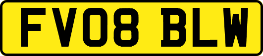 FV08BLW