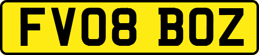 FV08BOZ