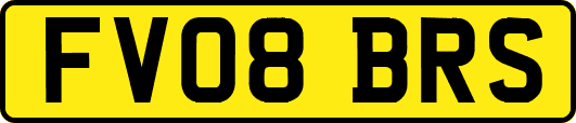 FV08BRS