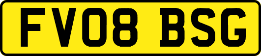 FV08BSG