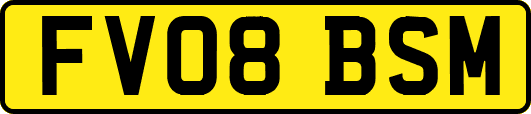 FV08BSM