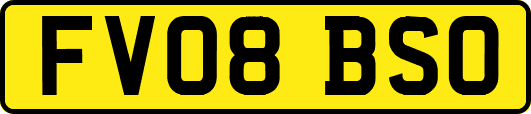 FV08BSO