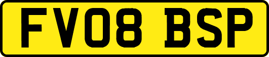 FV08BSP