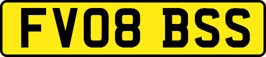 FV08BSS