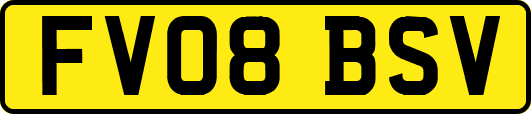 FV08BSV