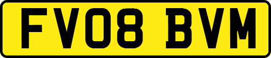 FV08BVM