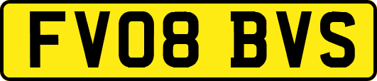 FV08BVS