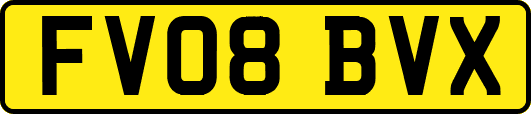 FV08BVX