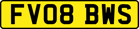FV08BWS