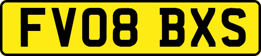 FV08BXS