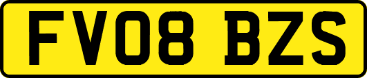 FV08BZS