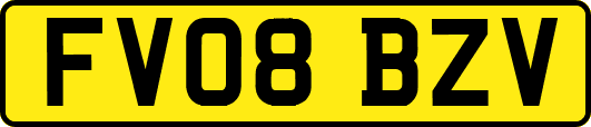 FV08BZV