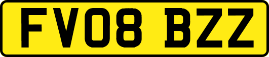 FV08BZZ