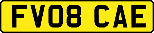 FV08CAE