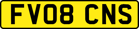 FV08CNS