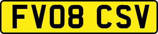 FV08CSV