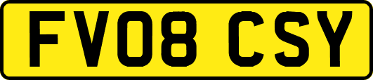 FV08CSY