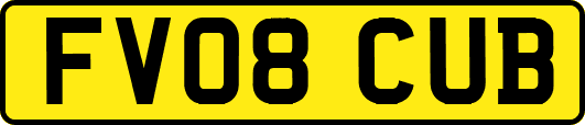 FV08CUB