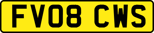 FV08CWS
