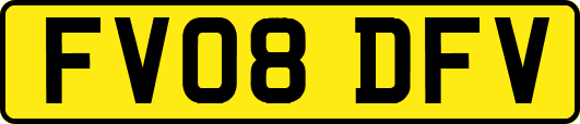FV08DFV