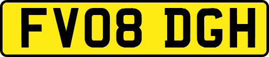 FV08DGH