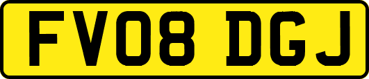 FV08DGJ