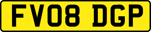 FV08DGP