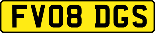 FV08DGS
