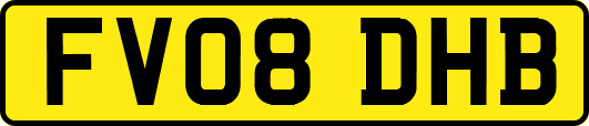 FV08DHB