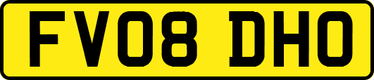 FV08DHO
