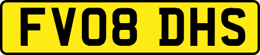 FV08DHS