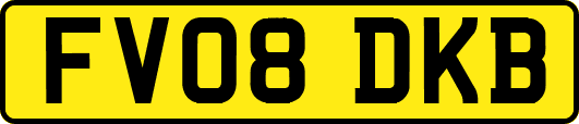 FV08DKB